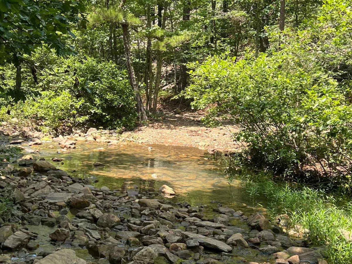 Turner Creek East photo 5