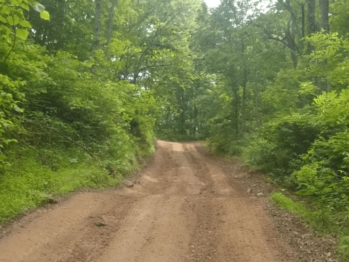 Honey Trace Hill trail photo