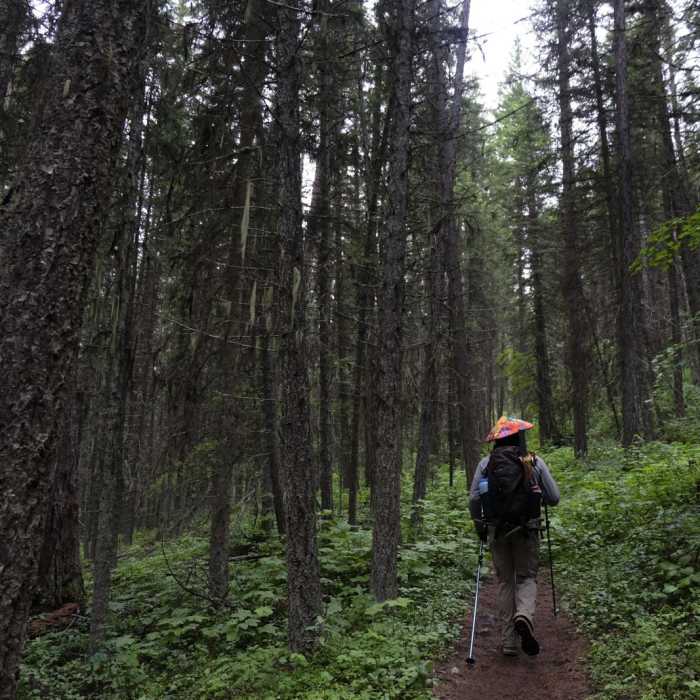 Near Quartz Lake Loop