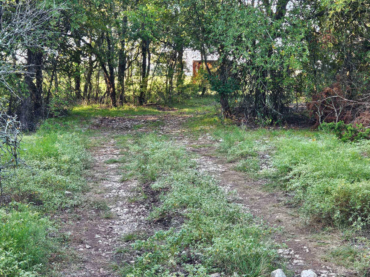 Sleepy Shortcut photo 2