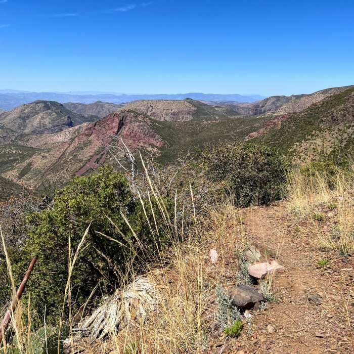 Near Mazatzal Divide Trail #23