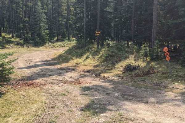 Wintering Mountain Trail 229