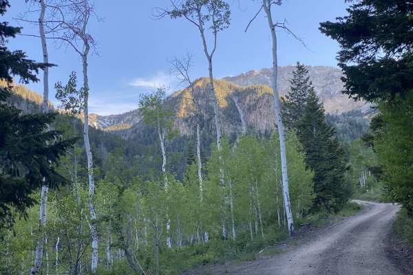 South Willow Canyon
