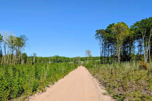 Devil Creek Road (Kalkaska Route - KKR)