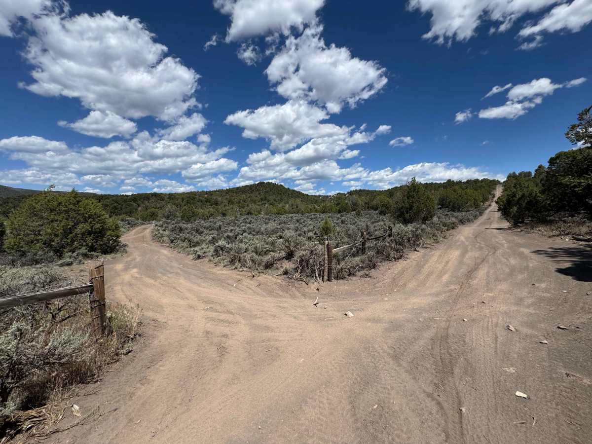 BLM 8468 photo 5
