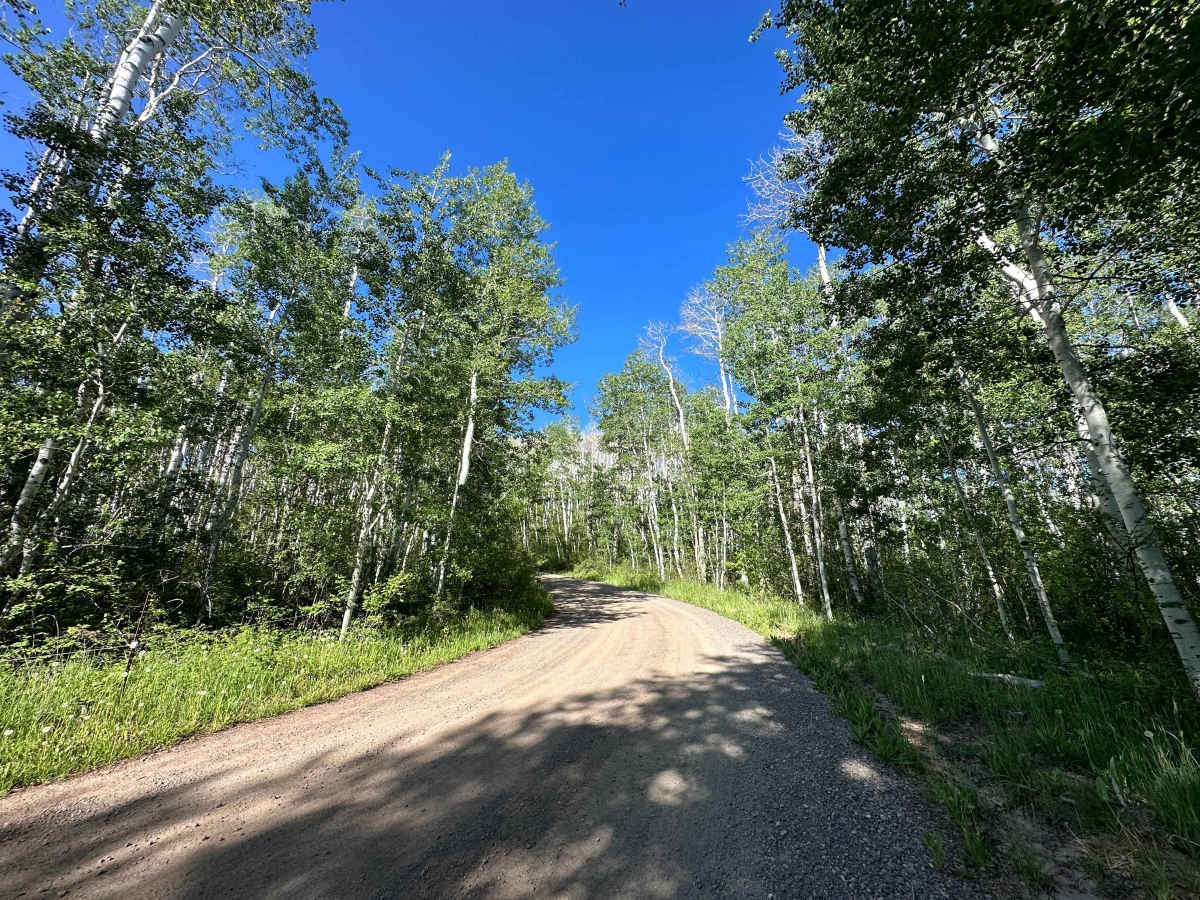 Buzzard Divide Road - FS#265 photo 5