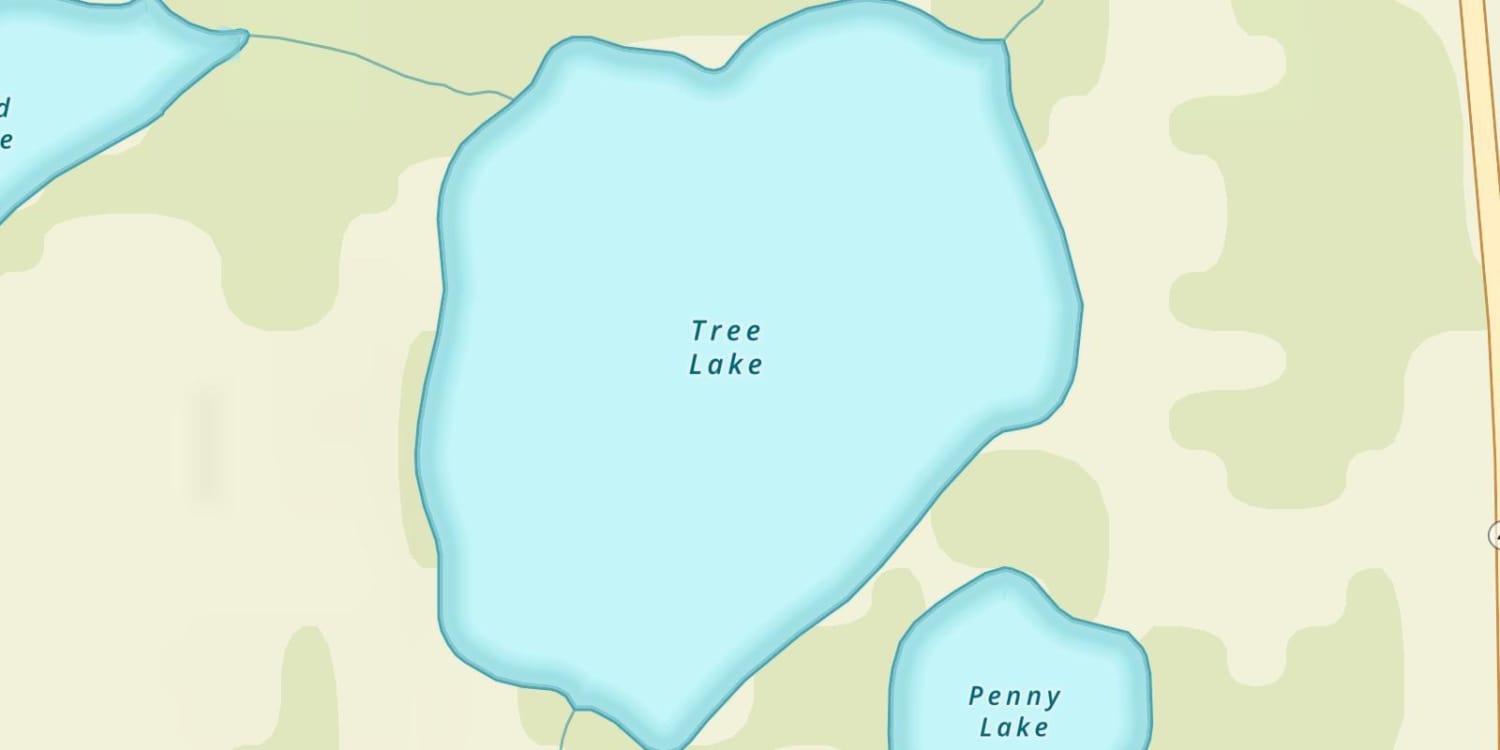 Tree Lake