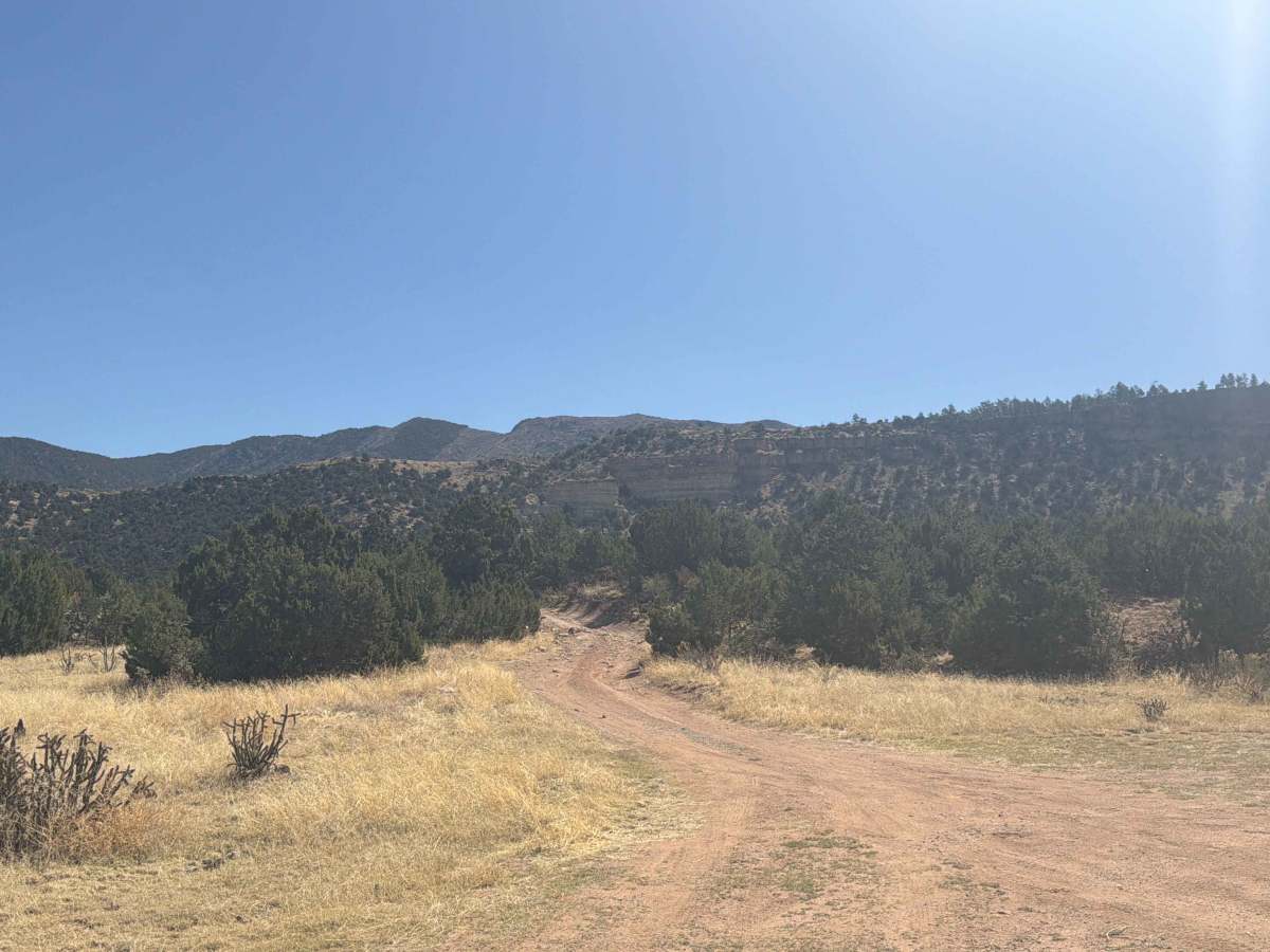 BLM 5941B photo 5