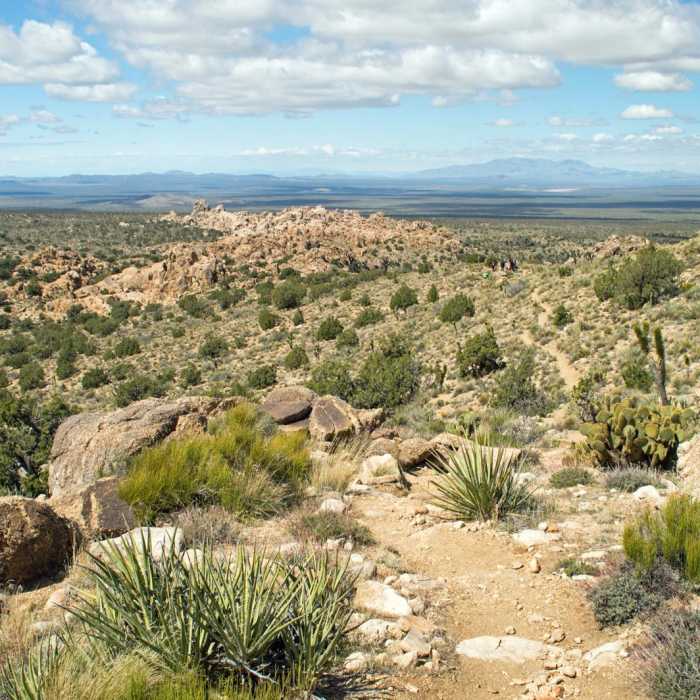 Near Teutonia Peak Trail