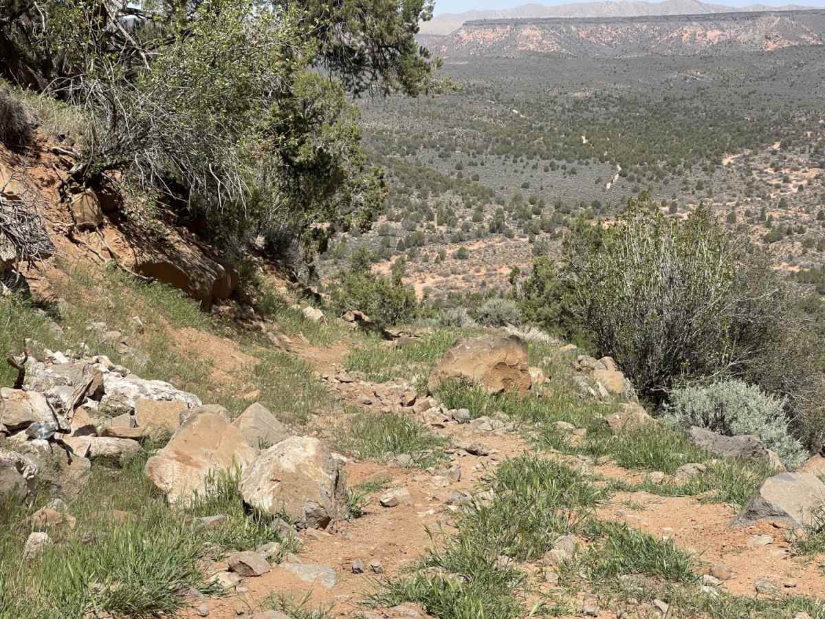 Coral Canyons Rocky Revenge trail photo