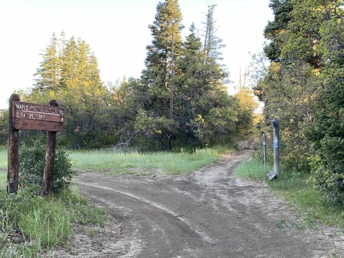 Oak Ridge Trail photo 3