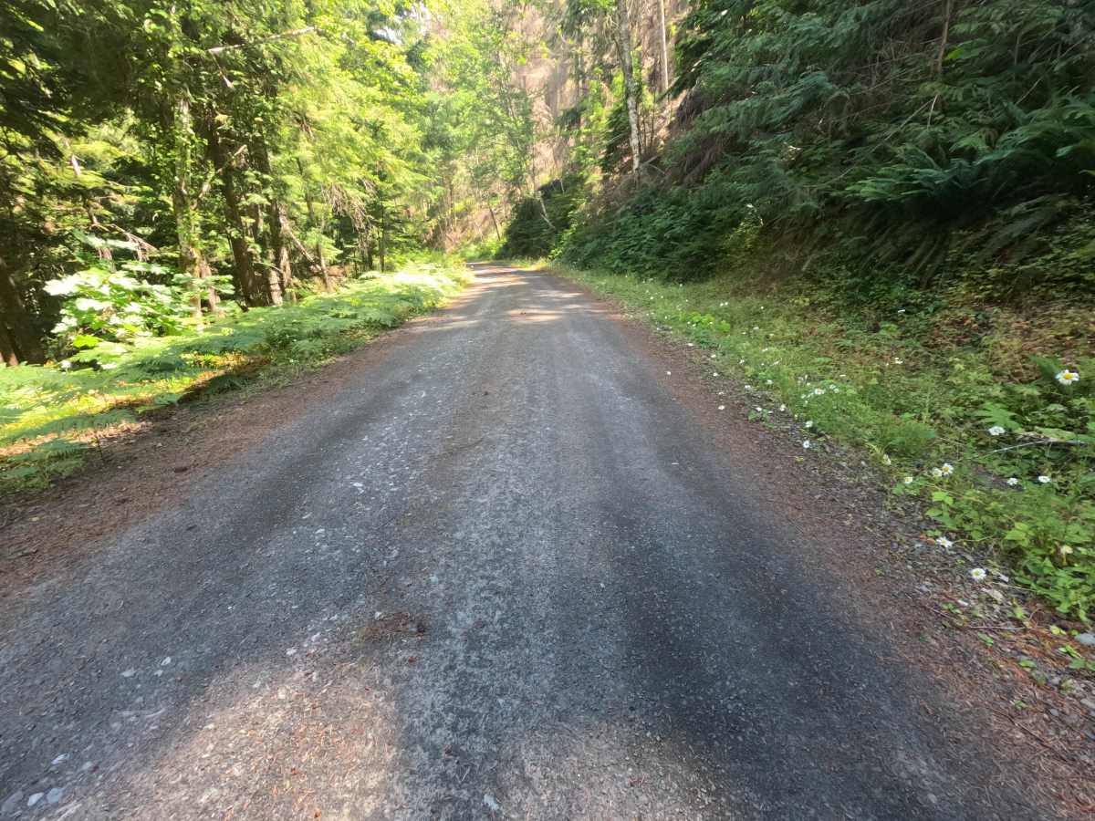 Bluff - FS 4612000 photo 2