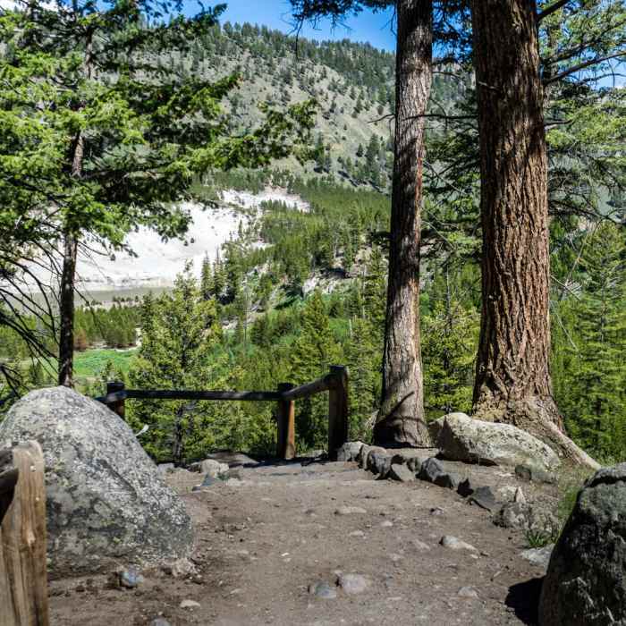 Near Tower Fall Trail