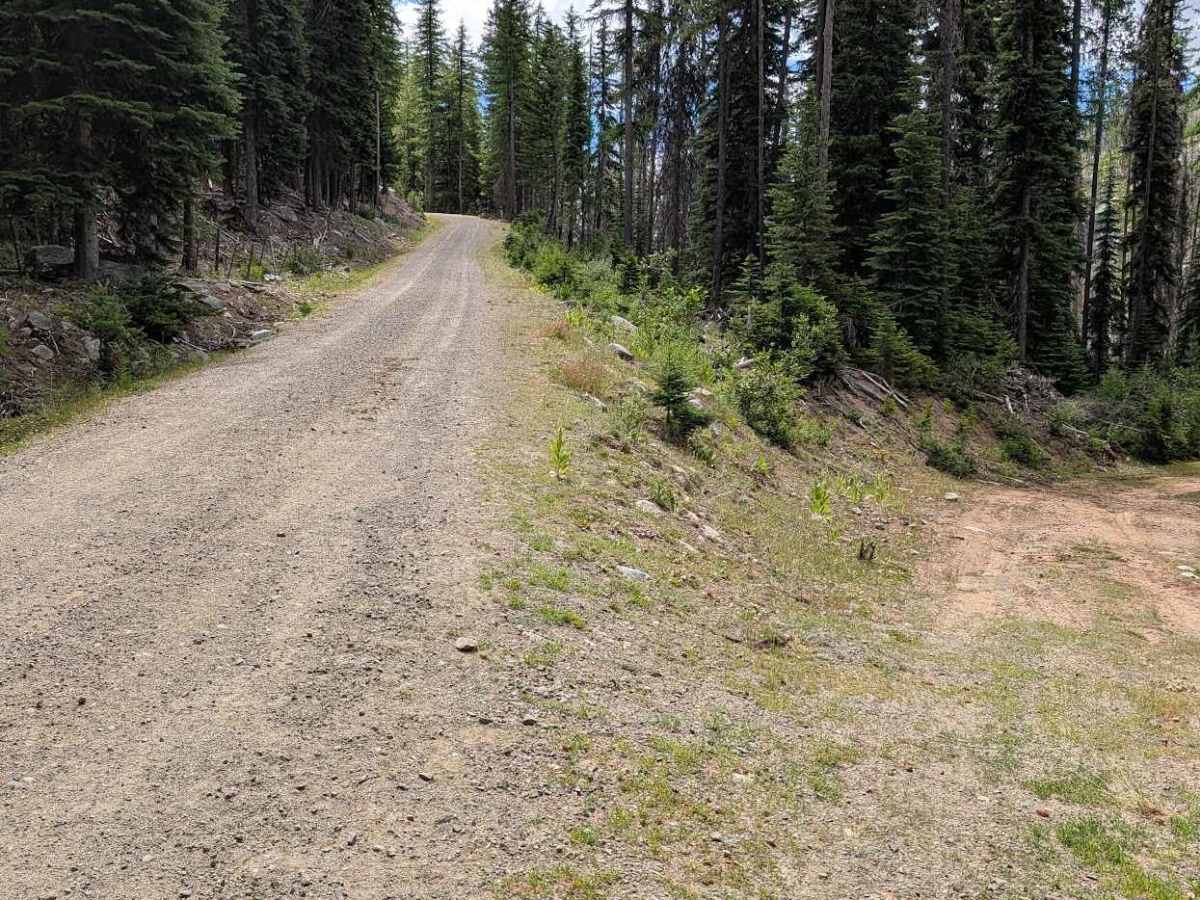 Wickiup Creek Road trail photo