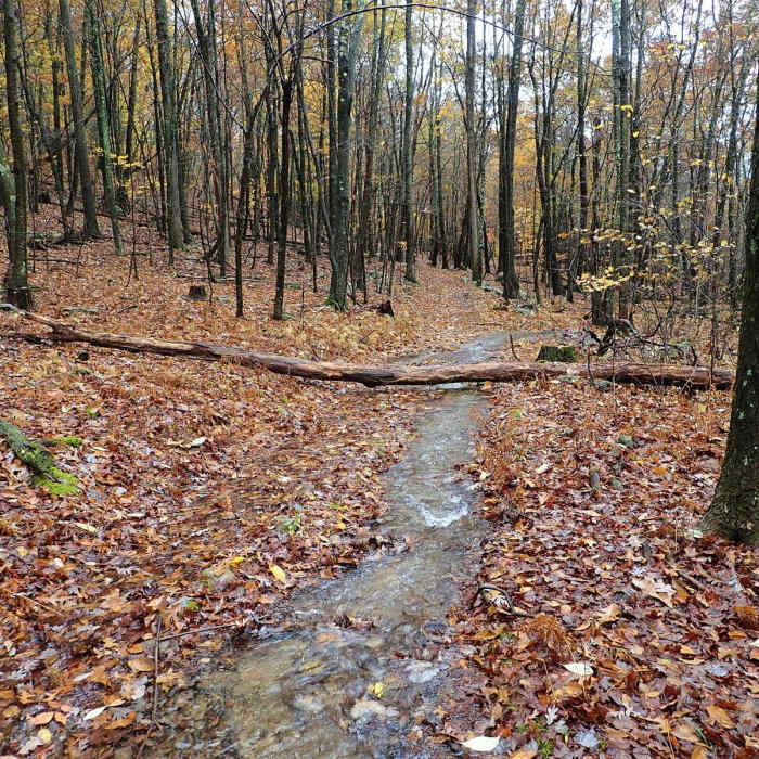 Near Shawangunk Ridge Trail: Gobblers Knob Section Near Shawangunk Ridge Trail: Gobblers Knob Section