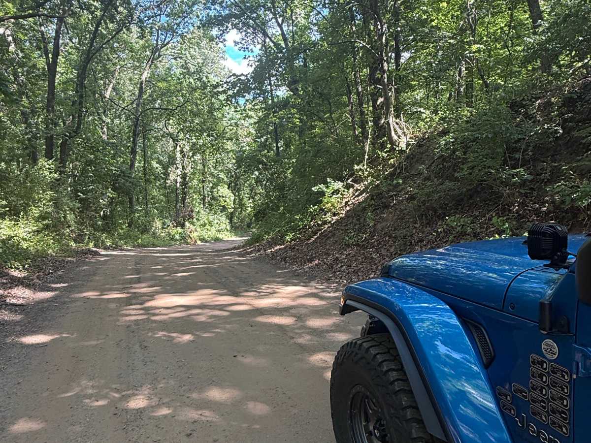 Green Trail photo 6