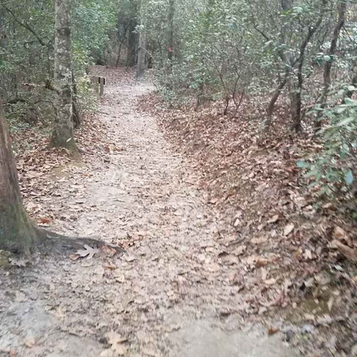 The way back Near Raven Rock Loop Trail