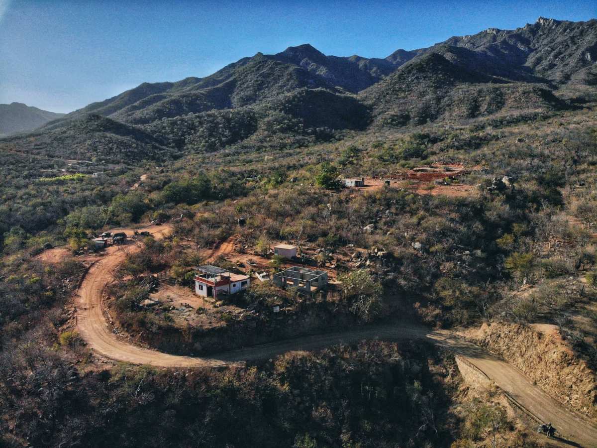 Los Naranjos photo 5