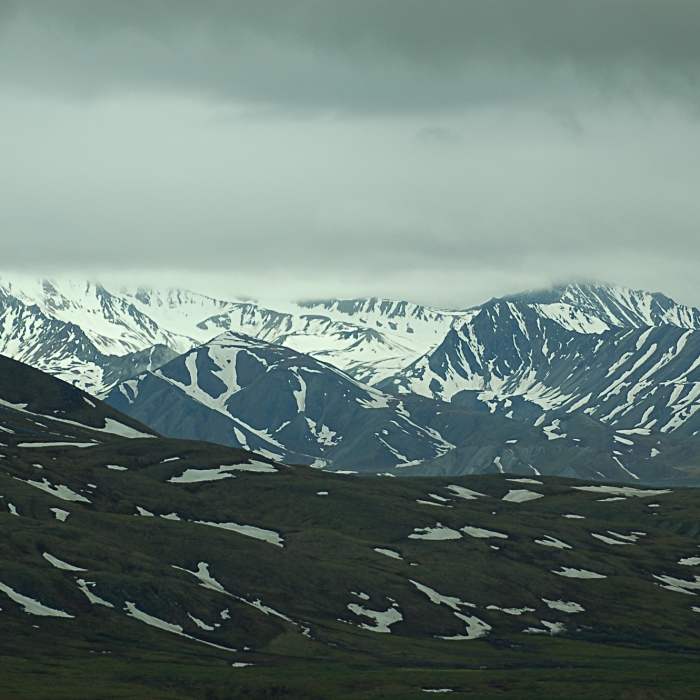 Denali National Park Near Thorofare Pass Off-trail Route