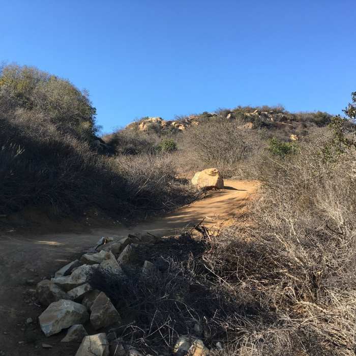 Near Serrano Ridge Trail