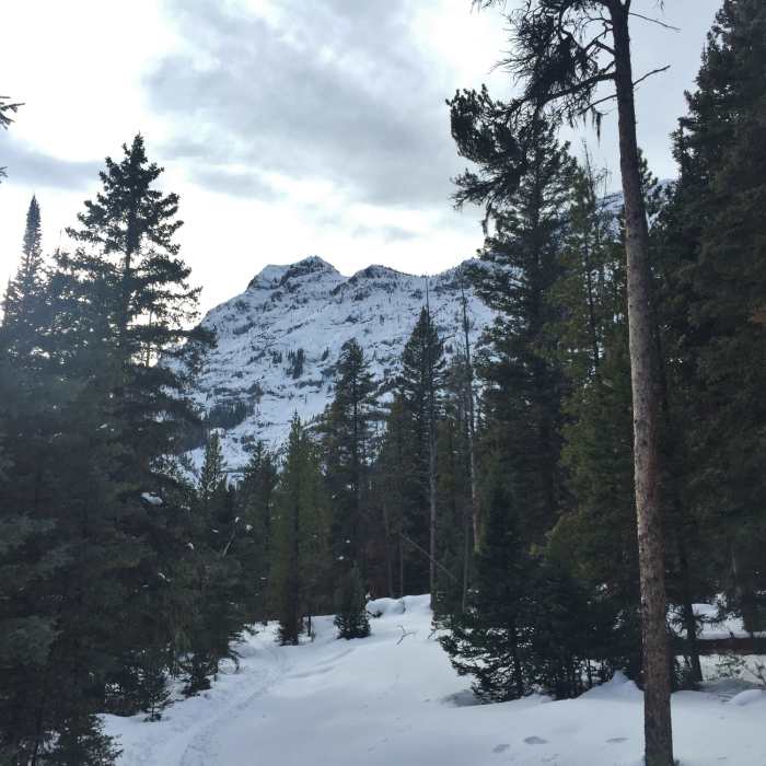 Near Barronette Ski Trail