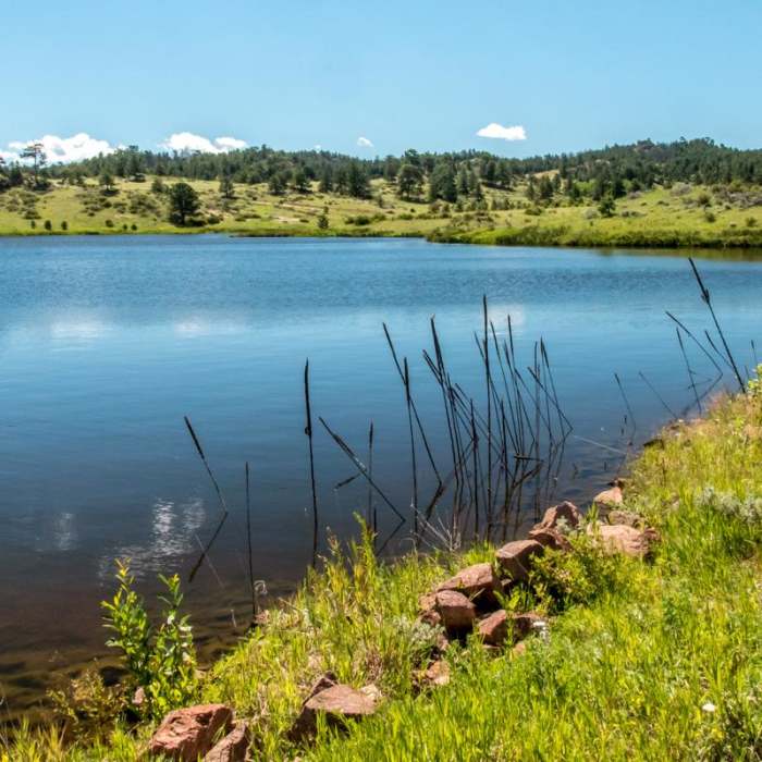 Near North Crow Reservoir Loop Near North Crow Reservoir Loop