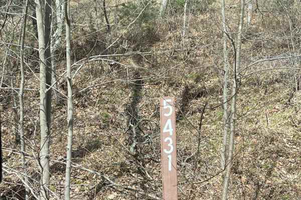 5431 Skidder Hill