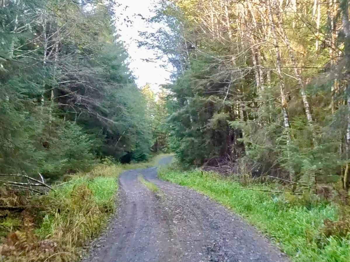 West Falls Creek Road - FS 3015100 photo 6