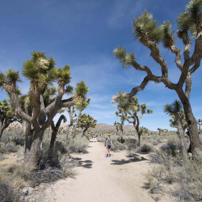 Near Wall Street Mill Hike