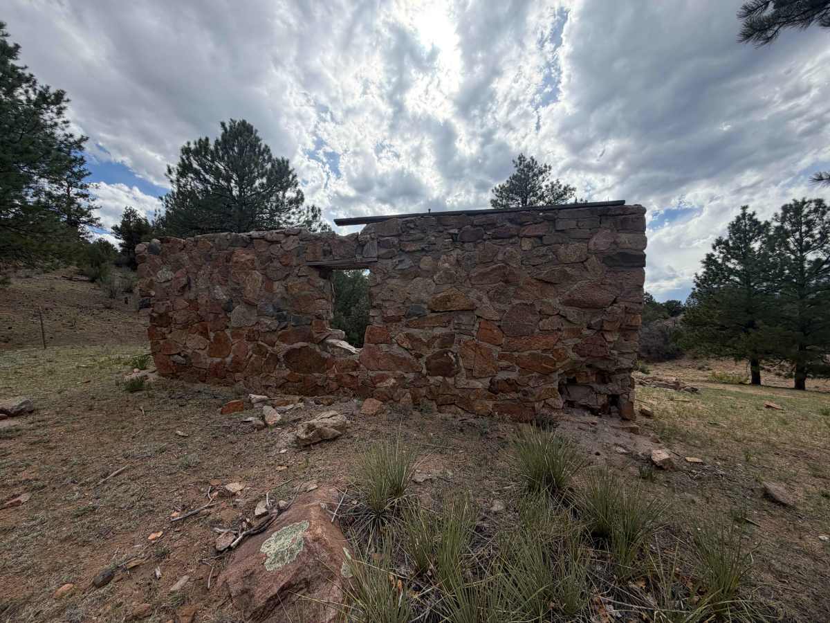 BLM 6220A photo 6