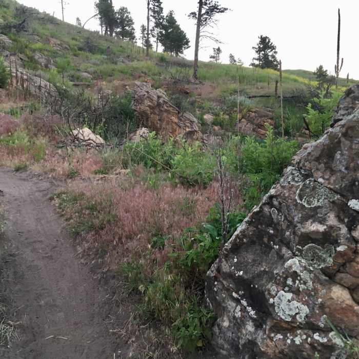 Looking up the trail between boulders. Near Far East / Founders Valley Loop