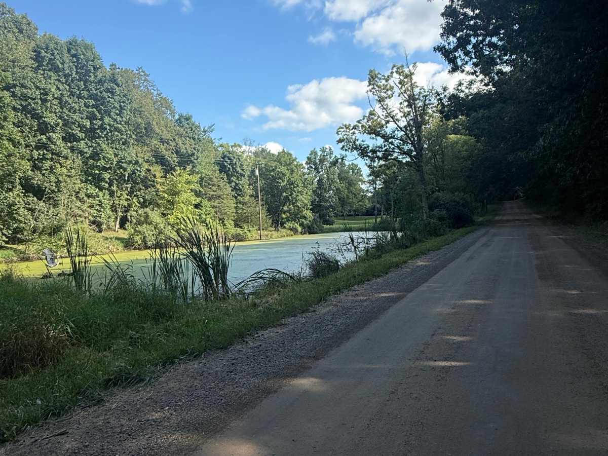 Kelly Trail trail photo