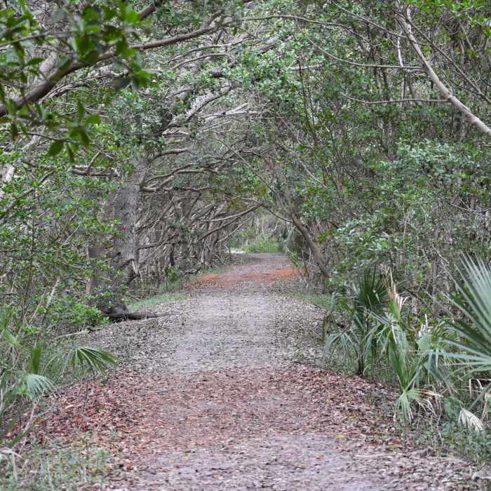 Near Weedon Island Preserve Route