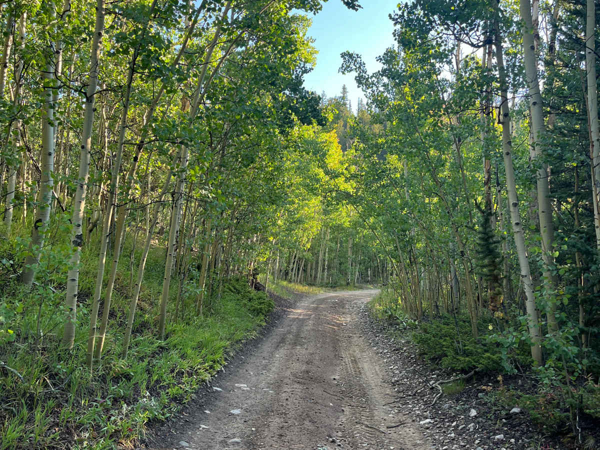 Horseshoe Road photo 3