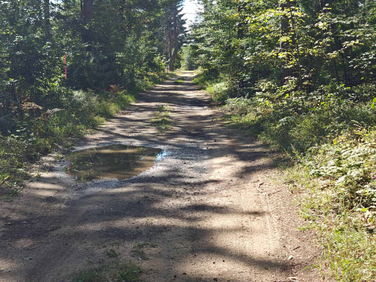 Oil Pump Trail photo 4
