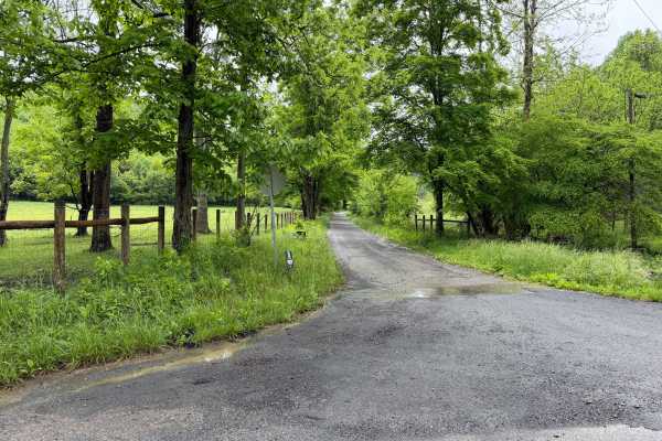 Comers Creek Road - FS 650