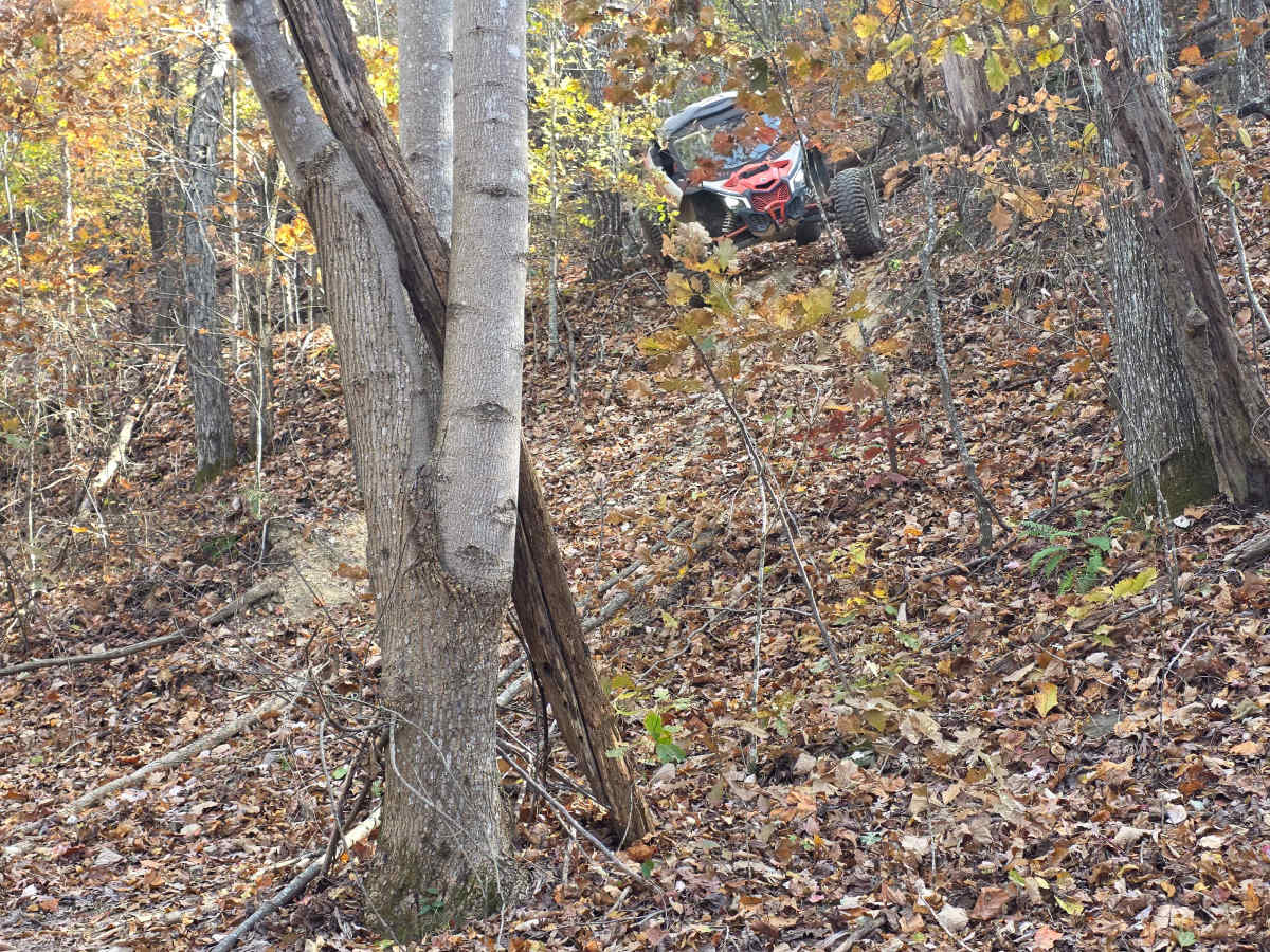 The Flush photo 4