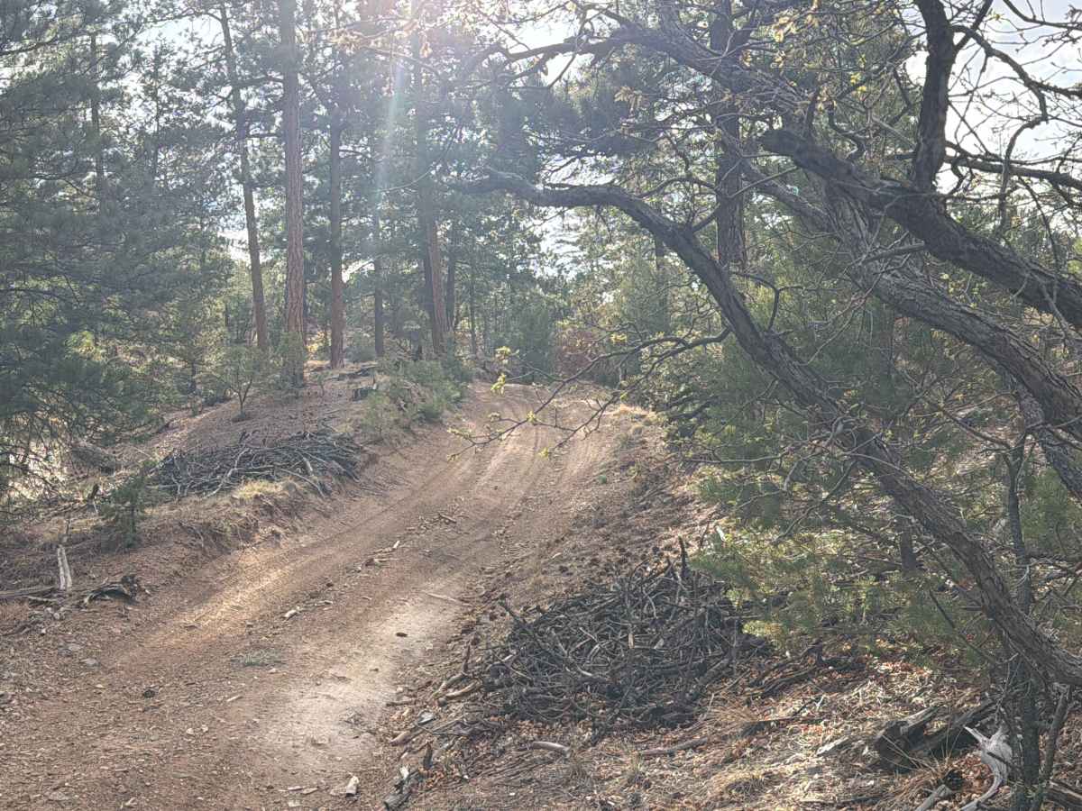 BLM 6170B trail photo