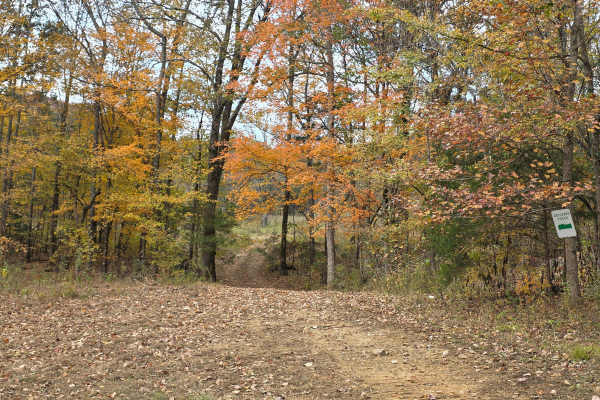 Field Loop
