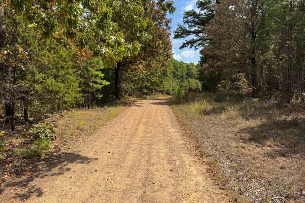 Pine Grove
