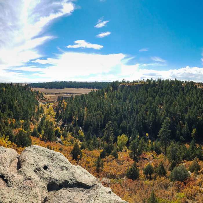 Near Rimrock Trail