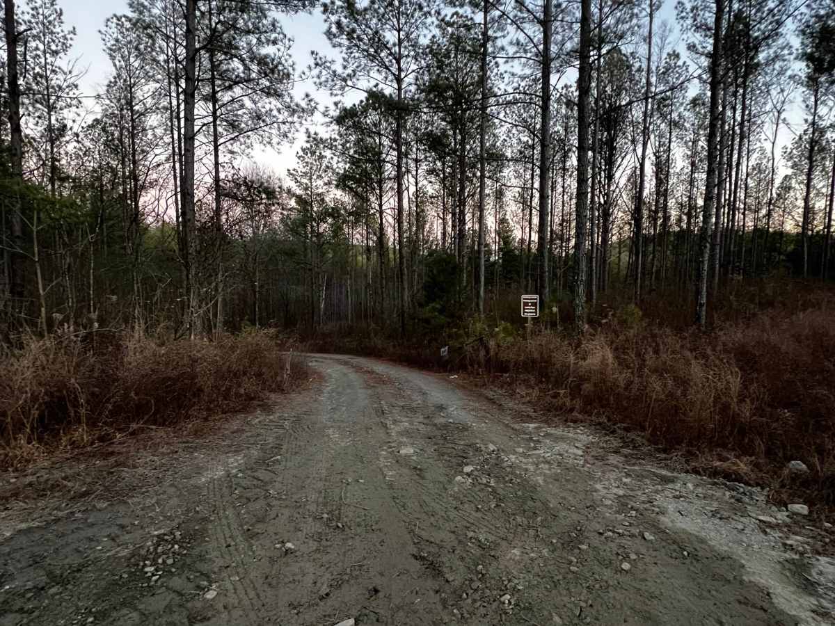 Etowah River Access photo 2