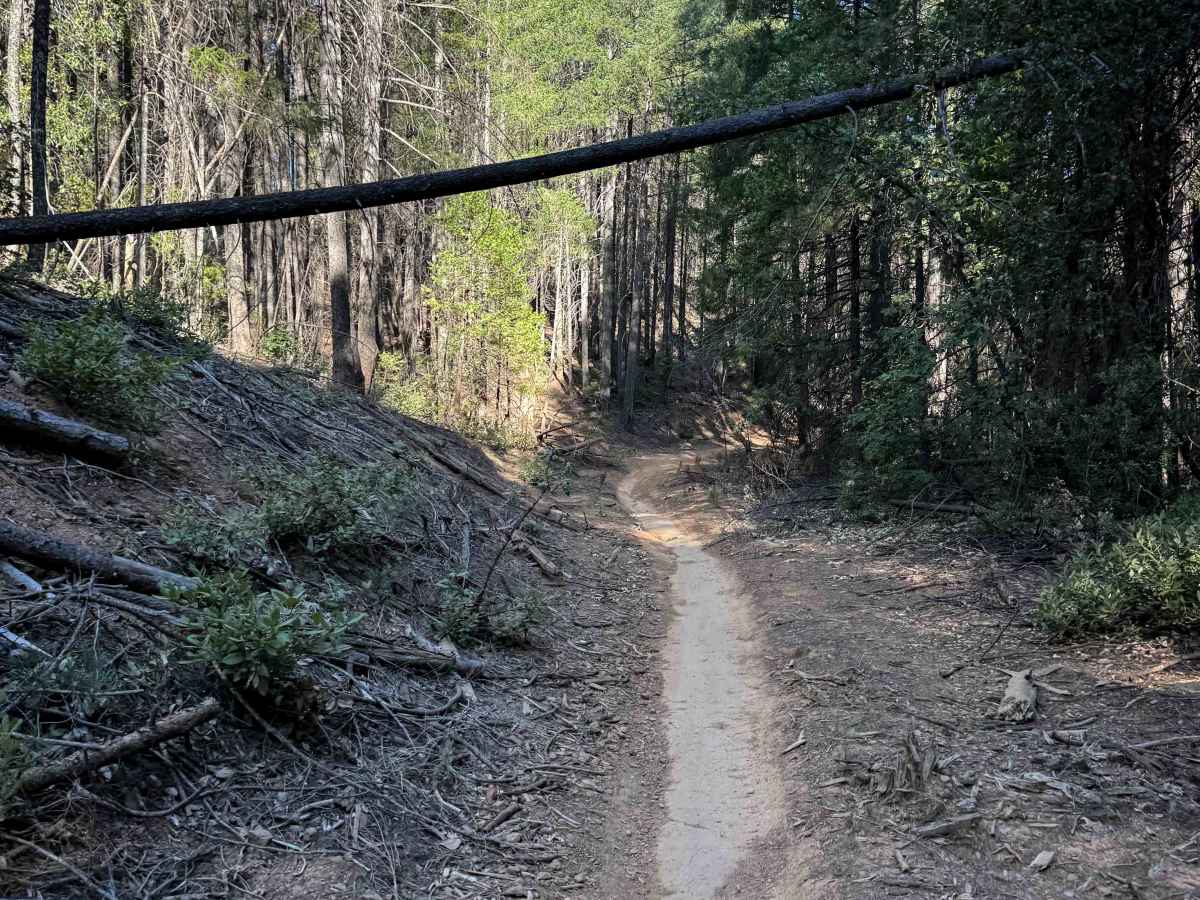 Trail 9 (11E13)  trail photo
