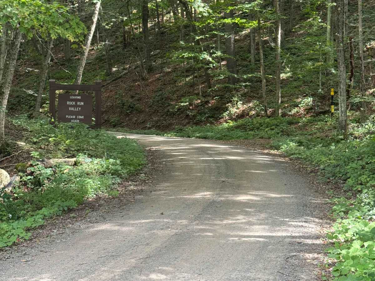Yellow Dog Road photo 6