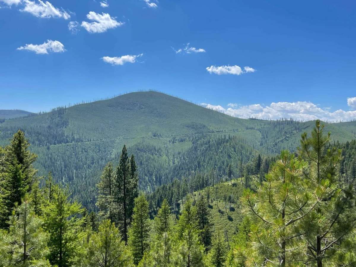West Holloman Schwartz trail photo