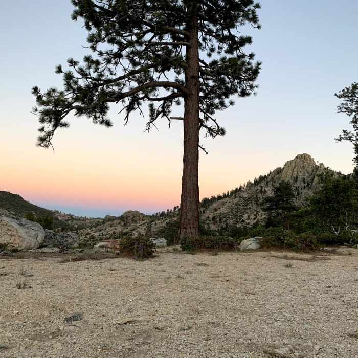 Near Woodpecker Trail Near Woodpecker Trail