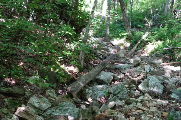 Will Power Hill