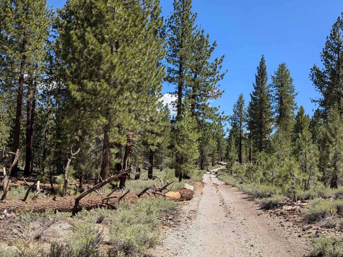 Alpers Canyon Upper FS2S42 photo 4