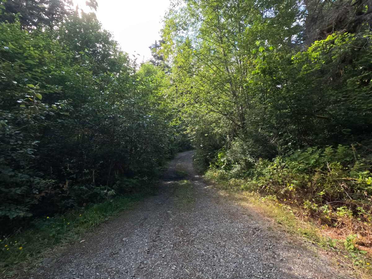 Sandy Creek - FS 1124 trail photo