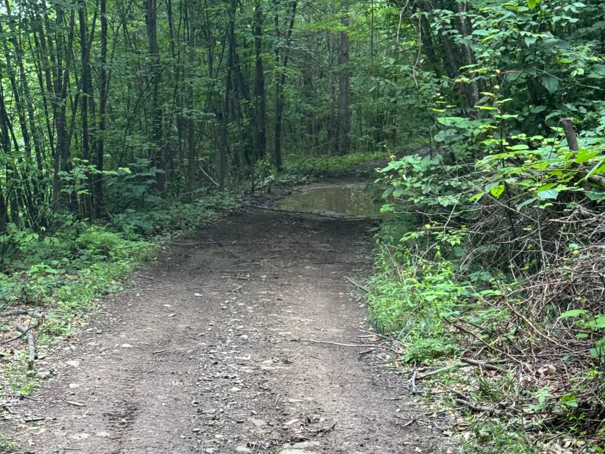 Trail 84 photo 6